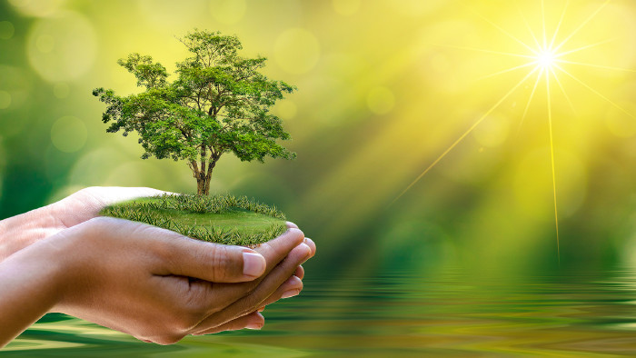 Sensorbasierte Nachhaltigkeitsdaten